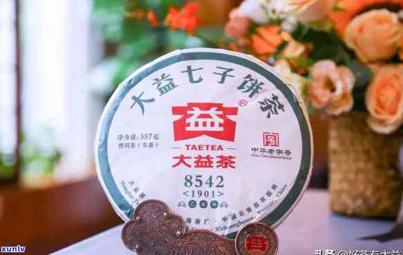 大益8592a，探索茶叶世界的瑰宝：大益8592a的口感与品质