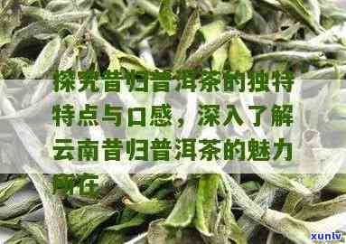 临沧昔归普洱茶的独特特性：云南临沧昔归茶的特点探究