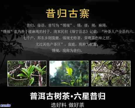 龙润茶昔归2018-龙润昔归现在什么价格