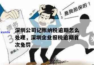 深圳企业报税逾期首次免罚政策解读