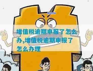 深圳增值税逾期申报解决及核定信息查询