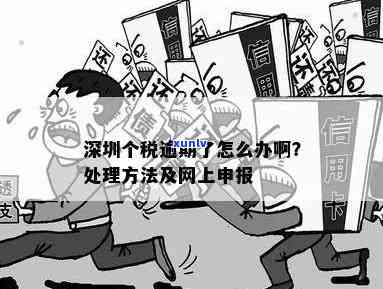 深圳个税逾期能否网上申报？申请流程是什么？