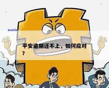 平安逾期怎么办，平安逾期解决攻略：教你怎样解决逾期疑问