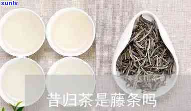 昔归茶是不是藤条茶-昔归茶是藤条茶吗?