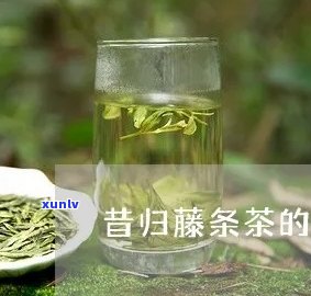 昔归茶属于藤条茶吗-昔归茶是藤条茶吗?