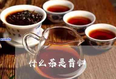 昔归茶是属于什么茶-昔归茶属于什么茶类