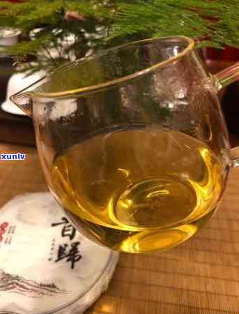 昔归茶春茶秋茶区别-昔归秋茶与春茶