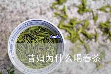 昔归茶春茶秋茶区别-昔归秋茶与春茶