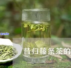 深入解析：昔归藤条茶的独特口感及其特点