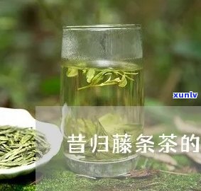 昔归茶是藤条茶吗?-昔归茶是藤条茶吗