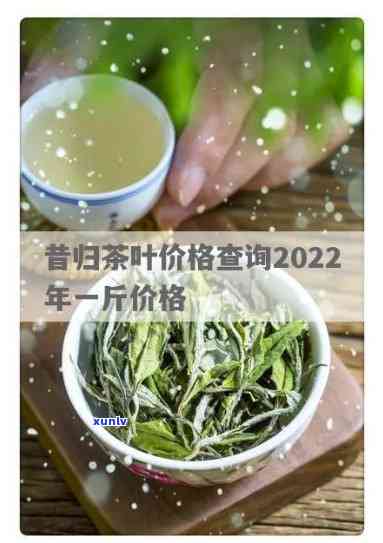 昔归茶价格2022-昔归茶价格2023