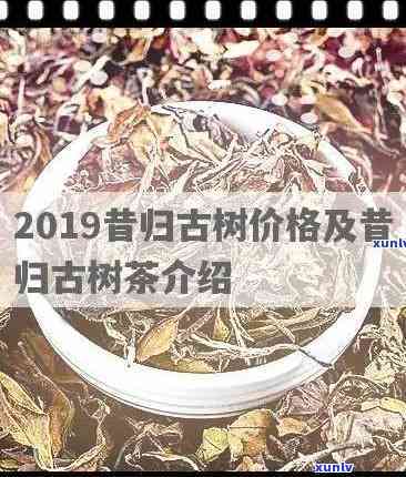 昔归茶2021价格-昔归茶价格2020