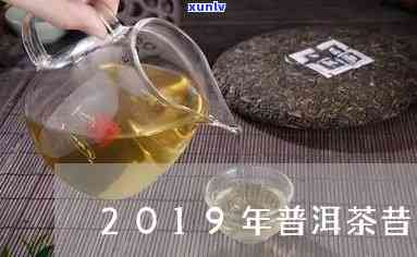 昔归2019茶价格-昔归茶价格2020