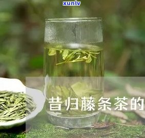 昔归藤条茶2019-昔归藤条茶的口感