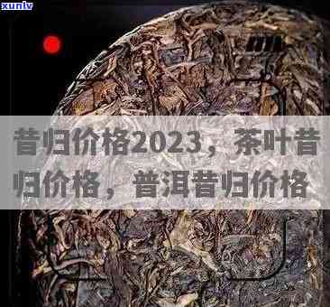 昔归茶价格：2009年多少钱一斤？最新行情解析