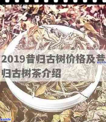 昔归茶价格与图片，昔归茶：价格全览及高清图片欣