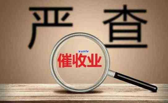 深圳公司被一锅端2021：全面调查，严打击行业乱象