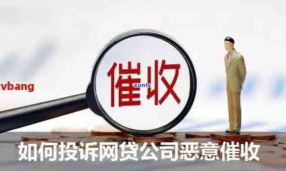 深圳公司被一锅端2021：全面调查，严打击行业乱象