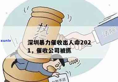 深圳公司被一锅端2021：全面调查，严打击行业乱象