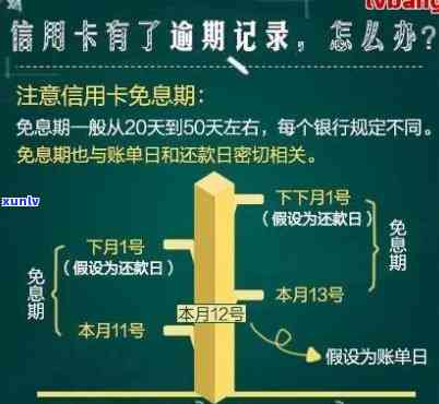 深圳逾期45日处理全攻略：流程、时间和注意事