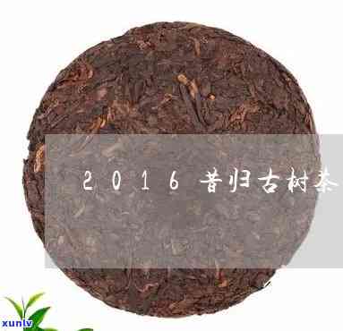 昔归2016茶真假-06年昔归茶