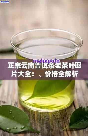 最新勐海大益普洱茶价格表，详尽列出各品种价格多少