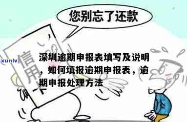 深圳逾期申报怎么补-深圳逾期申报怎么办