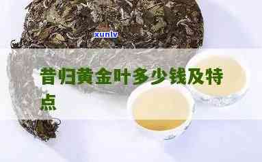 昔归黄金叶茶的功效及口感特点介绍