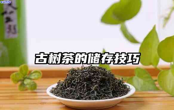 昔归古树茶如何保存，正确保存昔归古树茶的技巧与 *** 