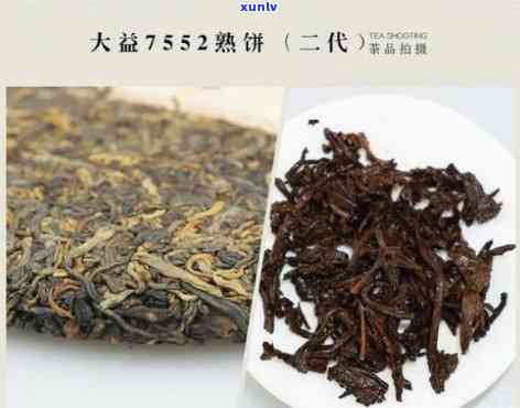 如何看大益茶的批次：年份与批次号的关系