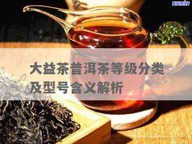 怎么看大益茶的级别-大益茶如何看等级