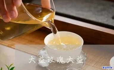 大益玫瑰大益介绍：揭示大益茶玫瑰系列的魅力与品质