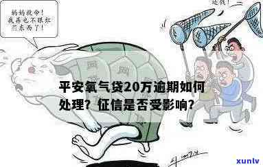 平安氧气贷逾期一年-平安氧气贷逾期一年会怎么样