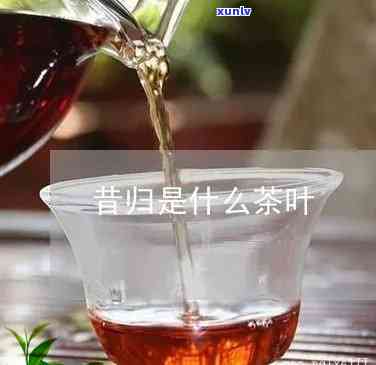 昔归茶是什么意思？详解昔归茶的由来与特点