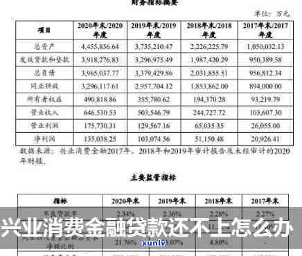 兴业应急金逾期五天会怎么样，兴业应急金逾期五天的结果是什么？