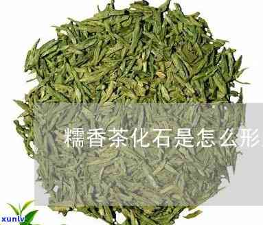 糯米香茶化石价格走势：最新图谱及深度解析