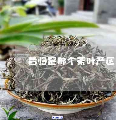 昔归是哪个茶厂的茶-昔归是哪里的茶