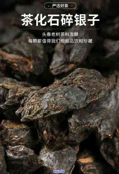 糯米香茶化石碎银子怎么样？特级云南糯香普洱茶熟茶叶作用与功效全解析