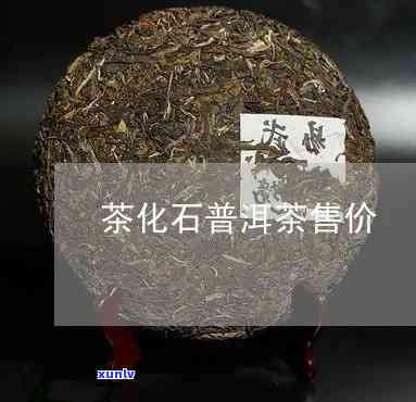 西双版纳茶化石价格-云南西双版纳茶化石