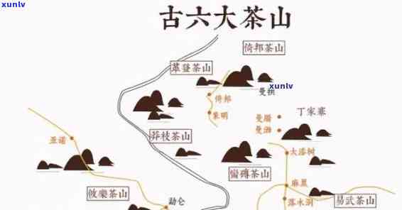 昔归茶产地哪个茶山，探寻昔归茶的源头：揭秘其诞生地——哪个茶山？