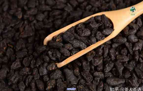 茶化石就是老茶头吗，茶化石与老茶头：它们之间有何关系？