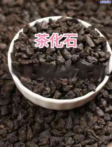 茶化石和老茶头哪个好，茶化石与老茶头：哪种更好？