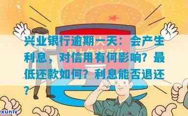 阿拉善玛瑙质量如何？购买指南和推荐一应俱全