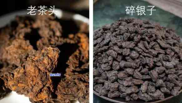 茶化石老茶头碎银子-茶化石老茶头碎银子区别