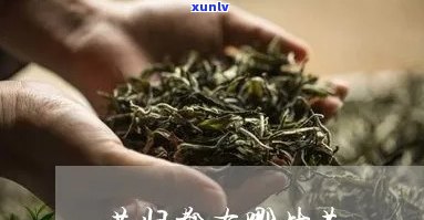 昔归茶的特点与气味-昔归茶的四大特征