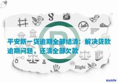 平安逾期一次性结清怎么操作，怎样实施平安逾期的一次性结清？详细步骤解析