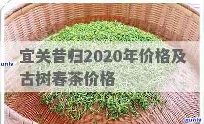 昔归茶价格2020-昔归茶价格2022