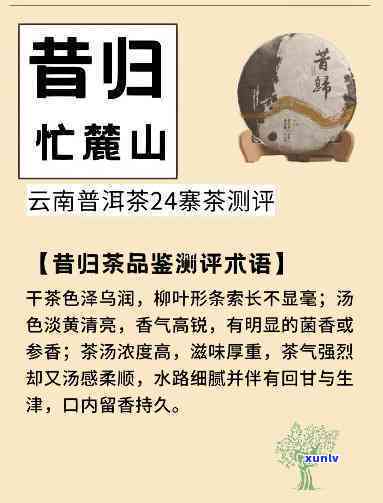 深入了解：昔归沱茶与昔归饼茶的区别