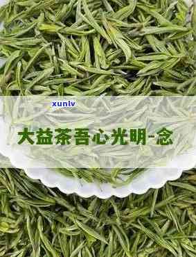 吾心光明大益茶昔归-吾心光明大益茶的用料