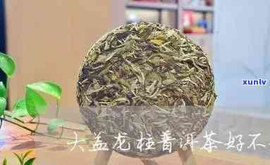 大益大龙柱值得收吗，大益大龙柱：值得收藏的珍品吗？